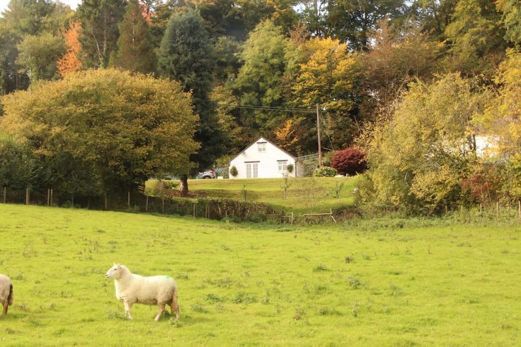 Garn Lodge Newtown  Eksteriør bilde